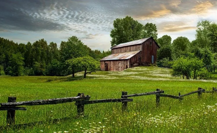 Conseils pour s’installer à la campagne
