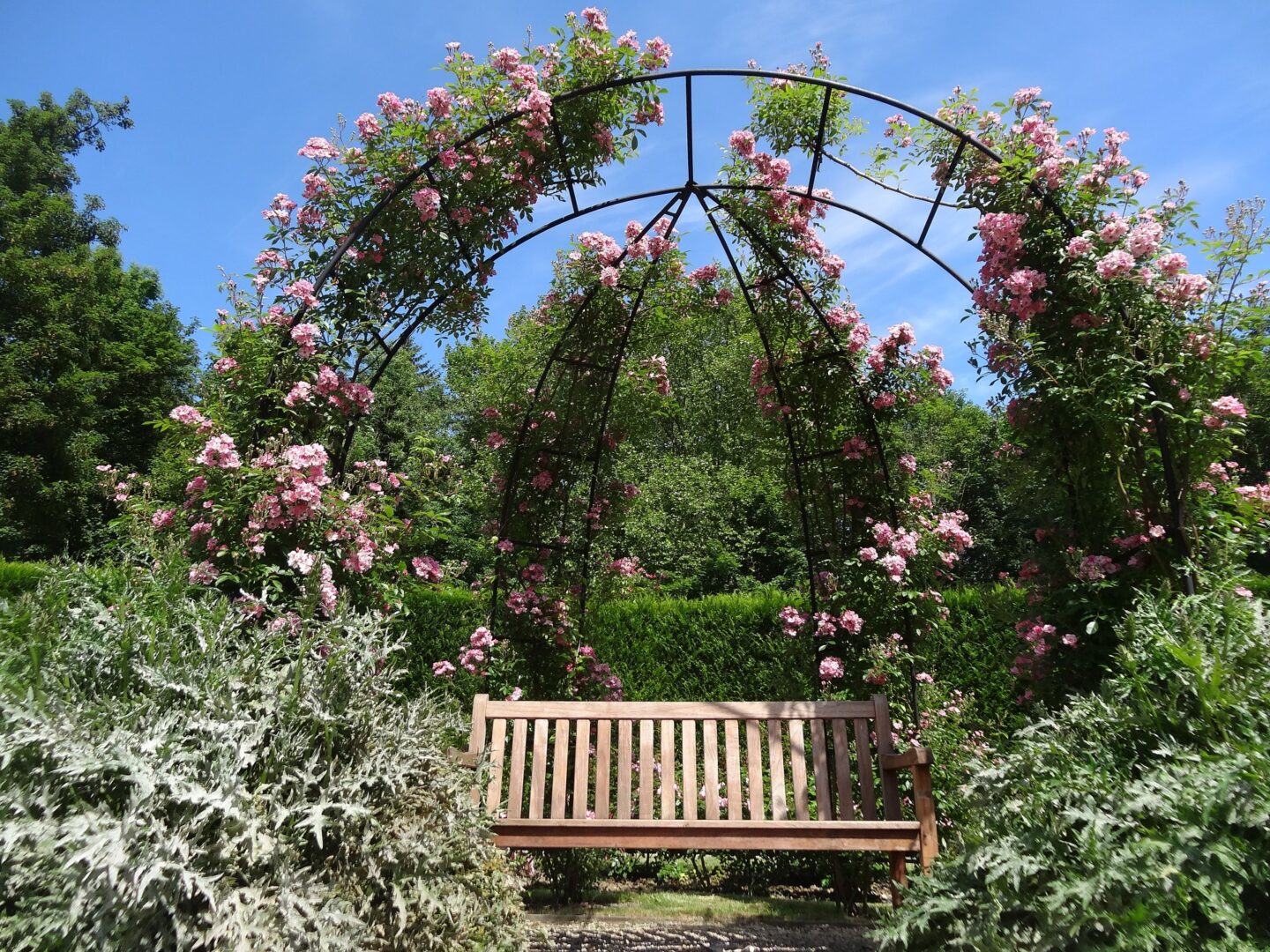 10 idées amusantes de jardinage vertical