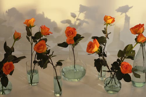 Comment préserver la beauté de vos fleurs