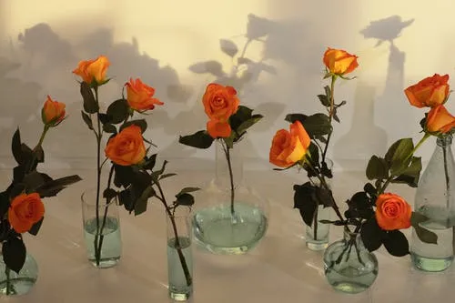 Comment préserver la beauté de vos fleurs