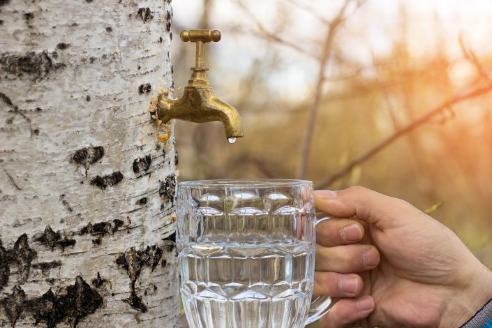 Comment purifier l’eau du robinet chez soi ?