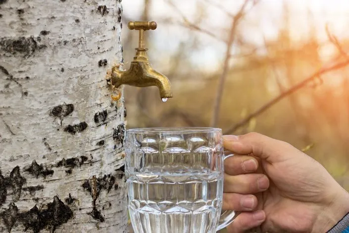 Comment purifier l’eau du robinet chez soi ?
