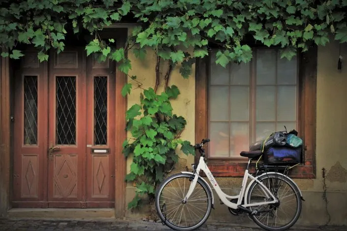 5 choses pour égayer l’entrée de votre maison