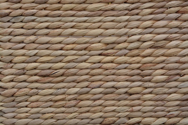 4 raisons d’opter pour le jonc de mer chez vous!