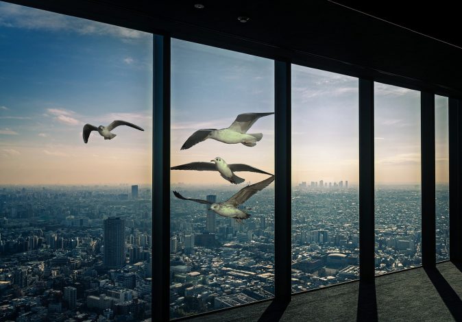 Que sont les Fenêtres en saillie ?