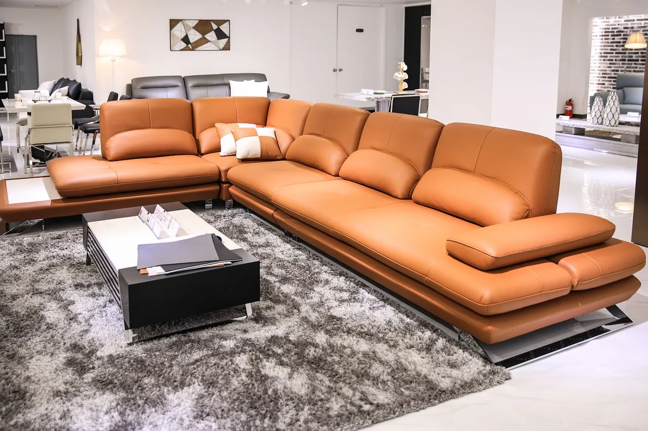 Associer son canapé avec le thème de son salon