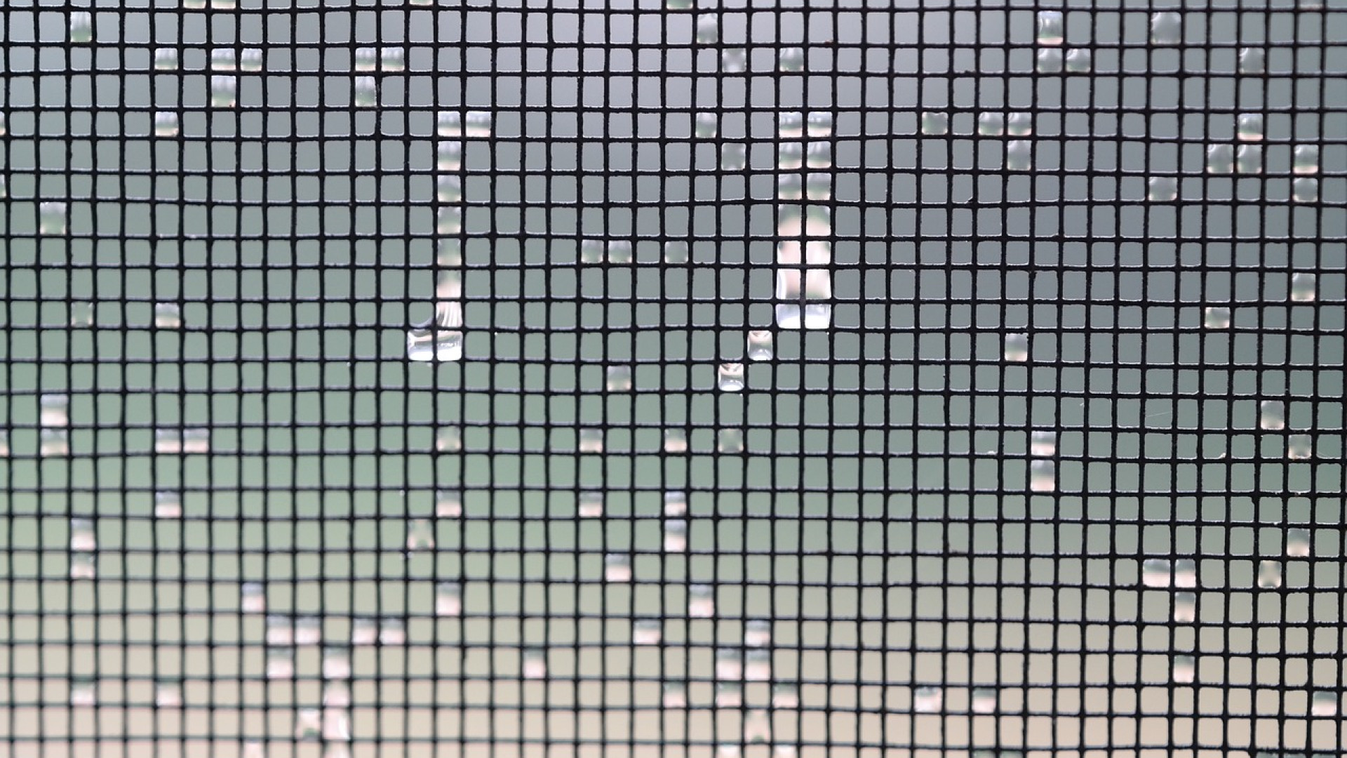 Pourquoi opter pour une moustiquaire sur mesure ?