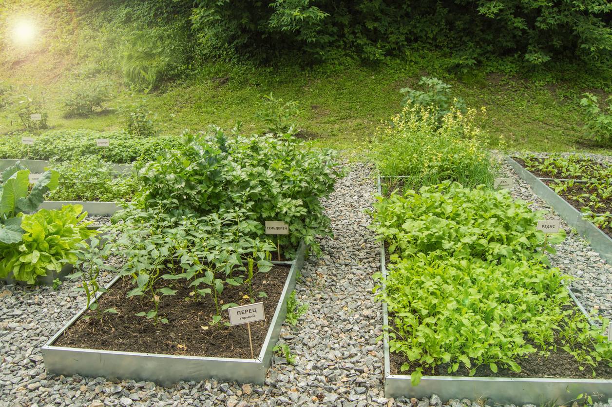 bordure accotement jardin acier corten