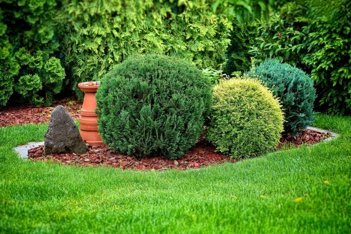 Besoin d’un paysagiste pour composer votre jardin ?