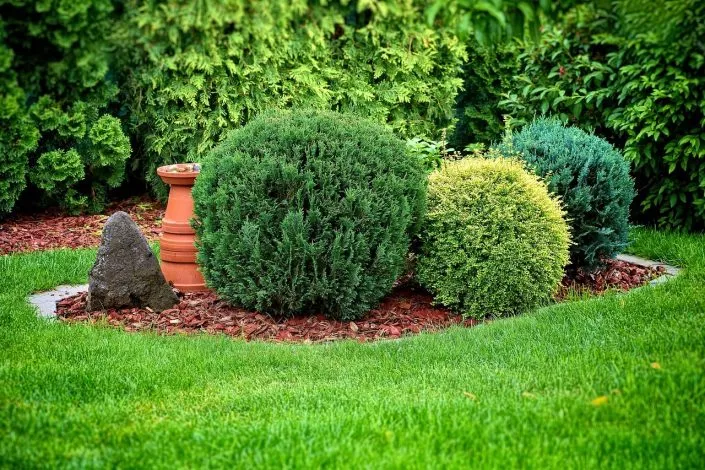 Besoin d’un paysagiste pour composer votre jardin ?