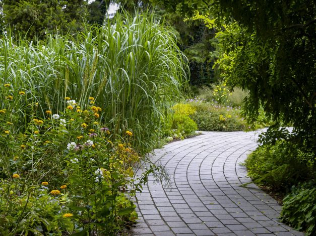 nettoyage allée en pierre naturelle