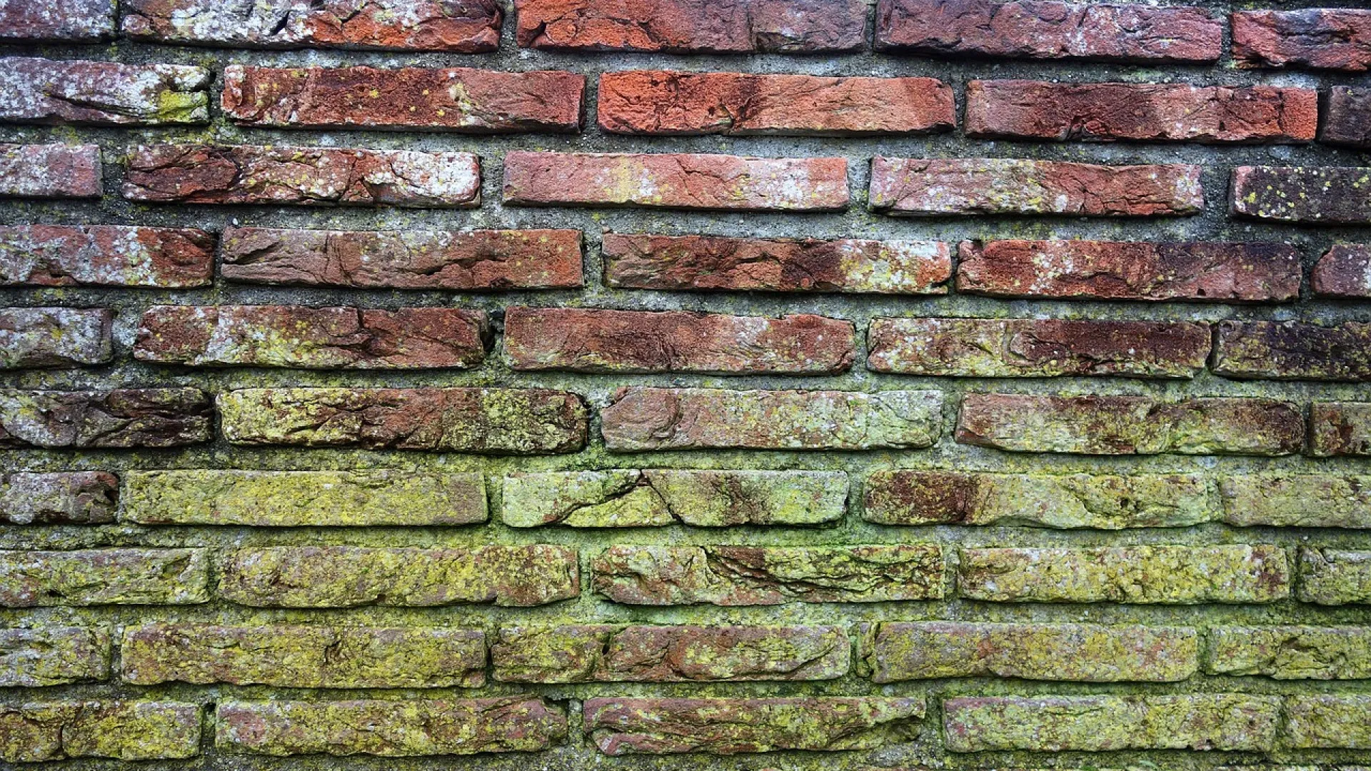 Traitement hydrofuge pour la protection des façades