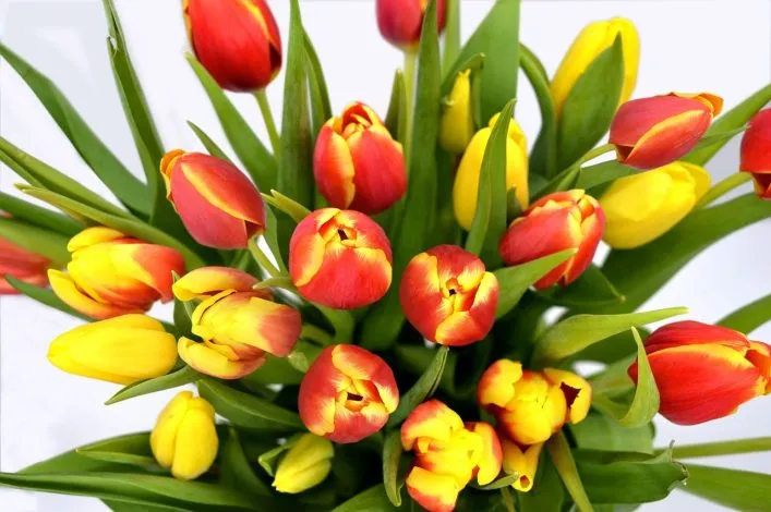 Conseils simples pour disposer les fleurs à la maison