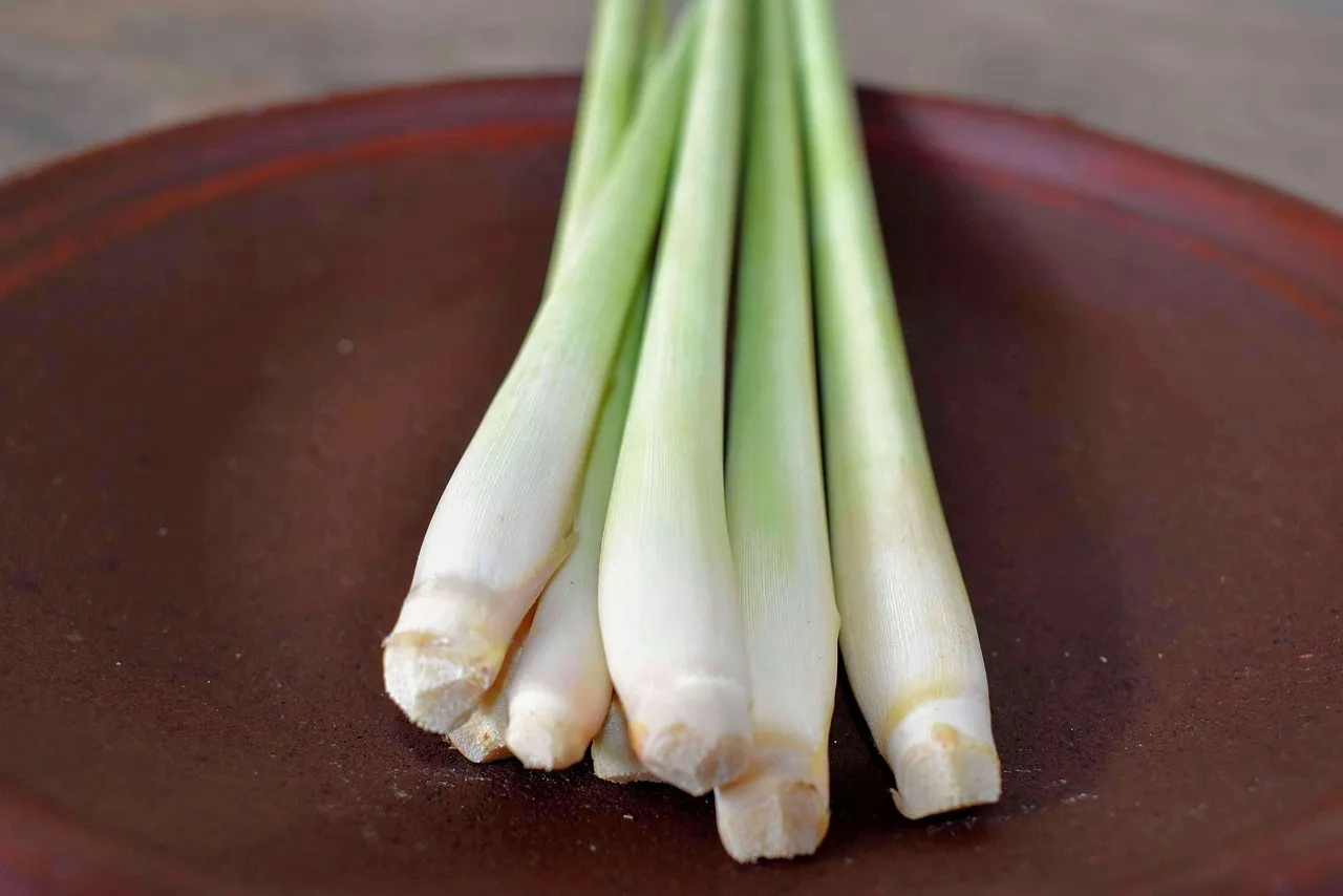 5 façons d’utiliser la citronnelle dans votre maison