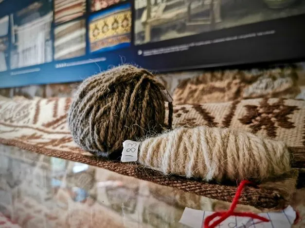 Pourquoi et comment choisir un tapis berbere en laine ?