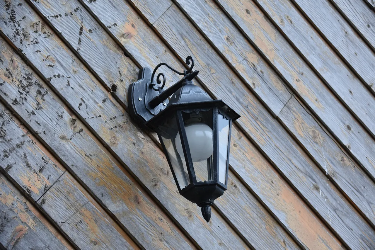 Comment choisir un bardage en bois extérieur durable ?