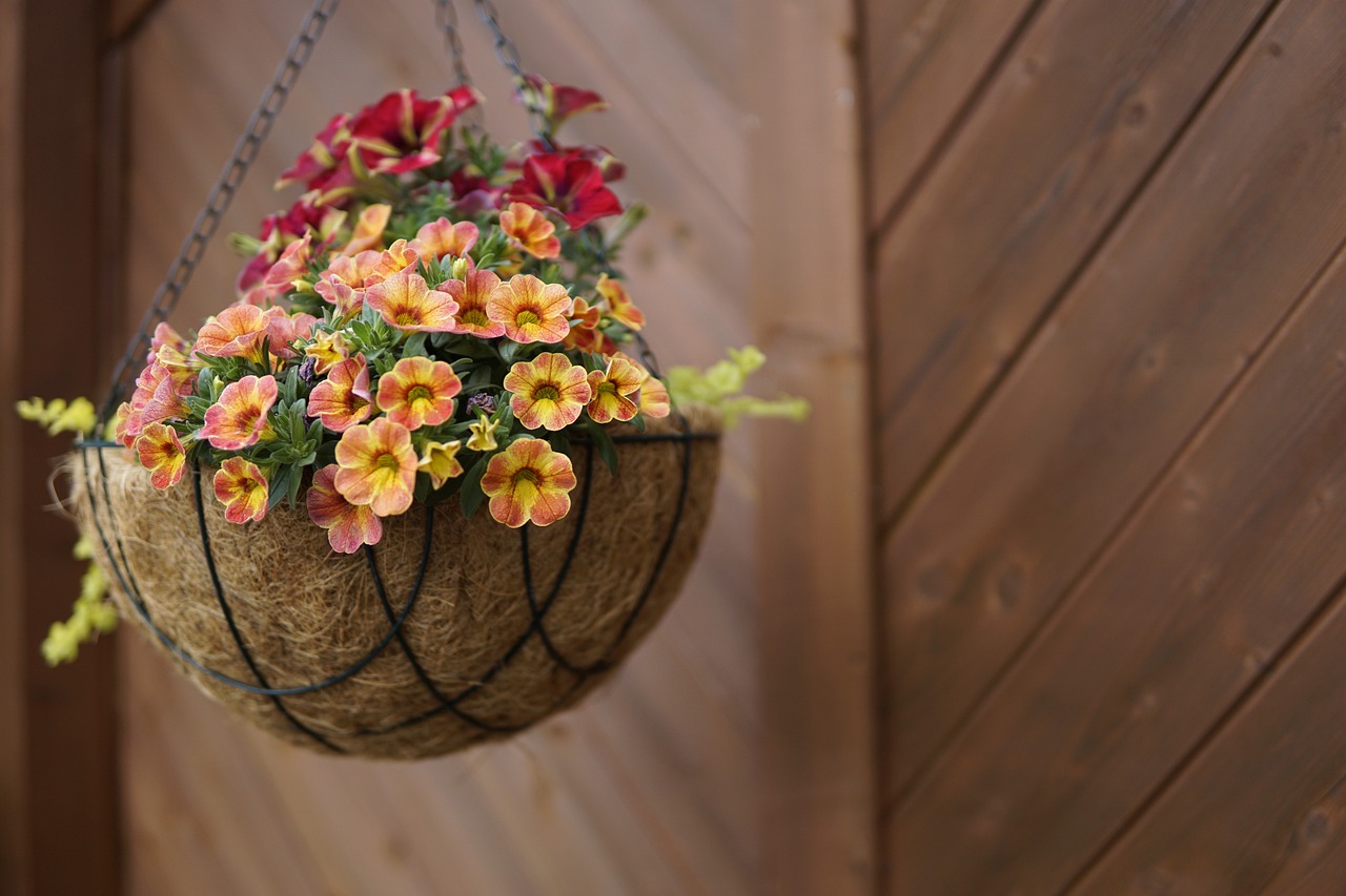 Transformez votre terrasse avec des pots de cocotiers