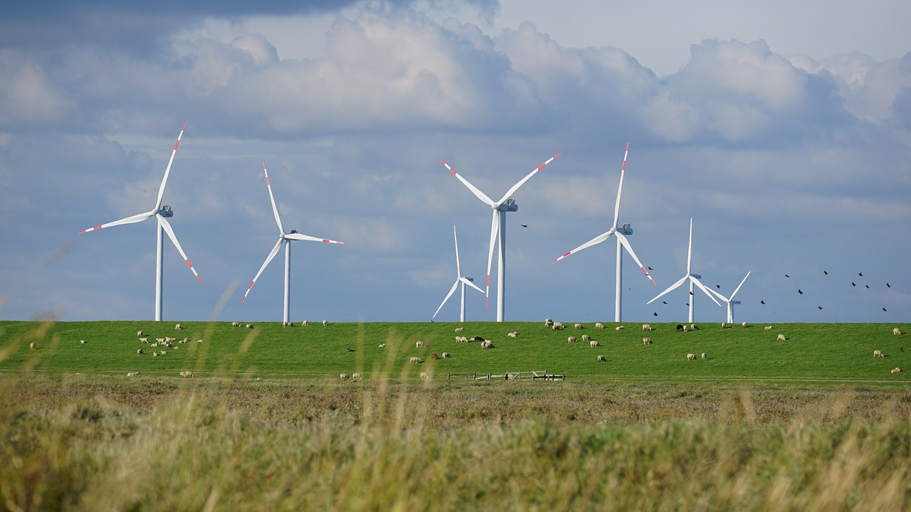 Énergie renouvelable et préservation de l’environnement