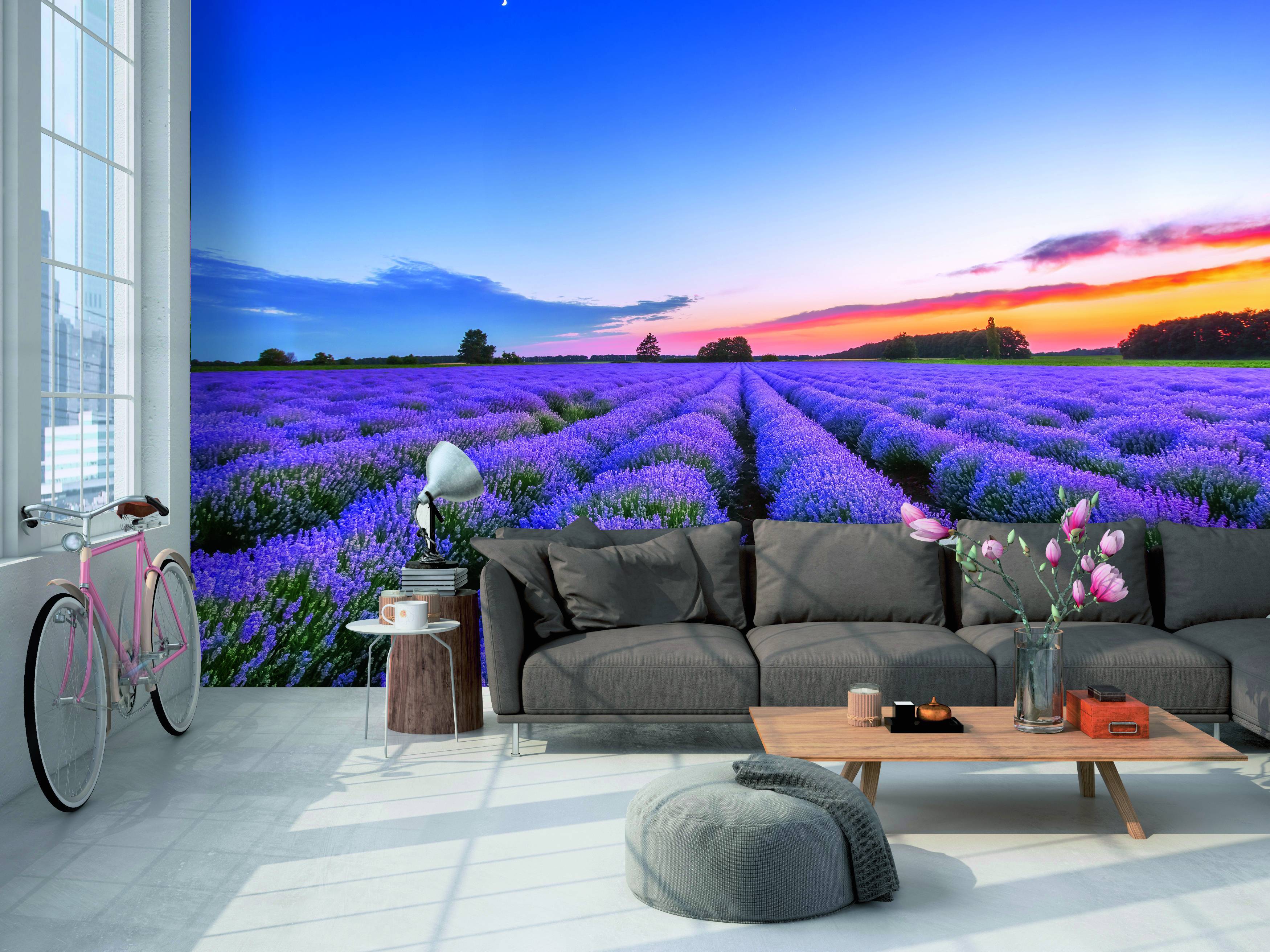 papier peint panoramique déco chambre