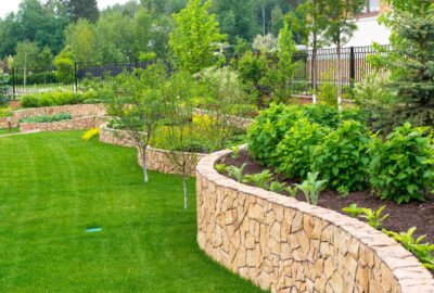 jardin