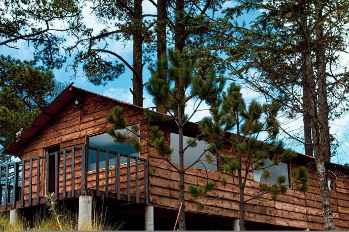 Pourquoi opter pour une maison sur mesure en ossature bois?