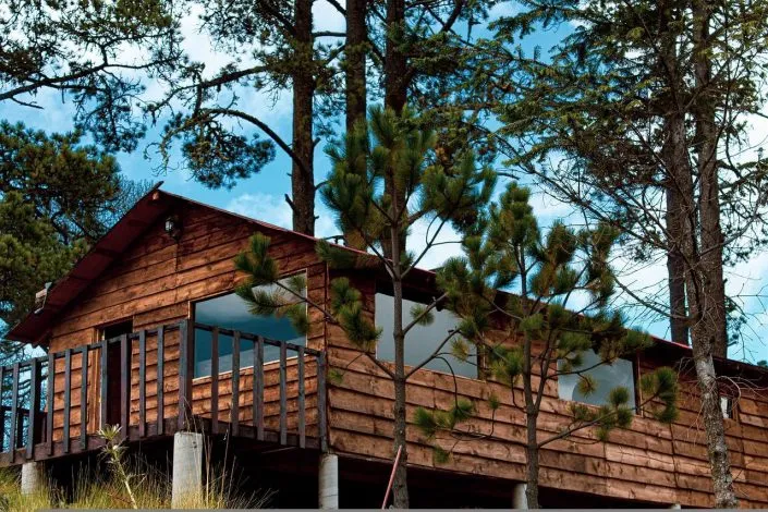 Pourquoi opter pour une maison sur mesure en ossature bois?