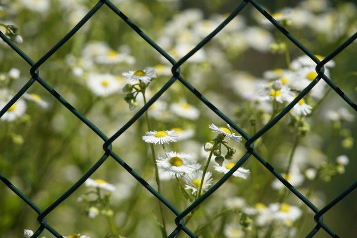 Comment installer une clôture en aluminium dans son jardin ?