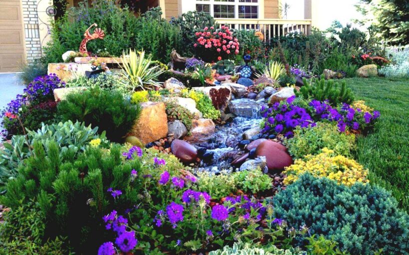 jardin