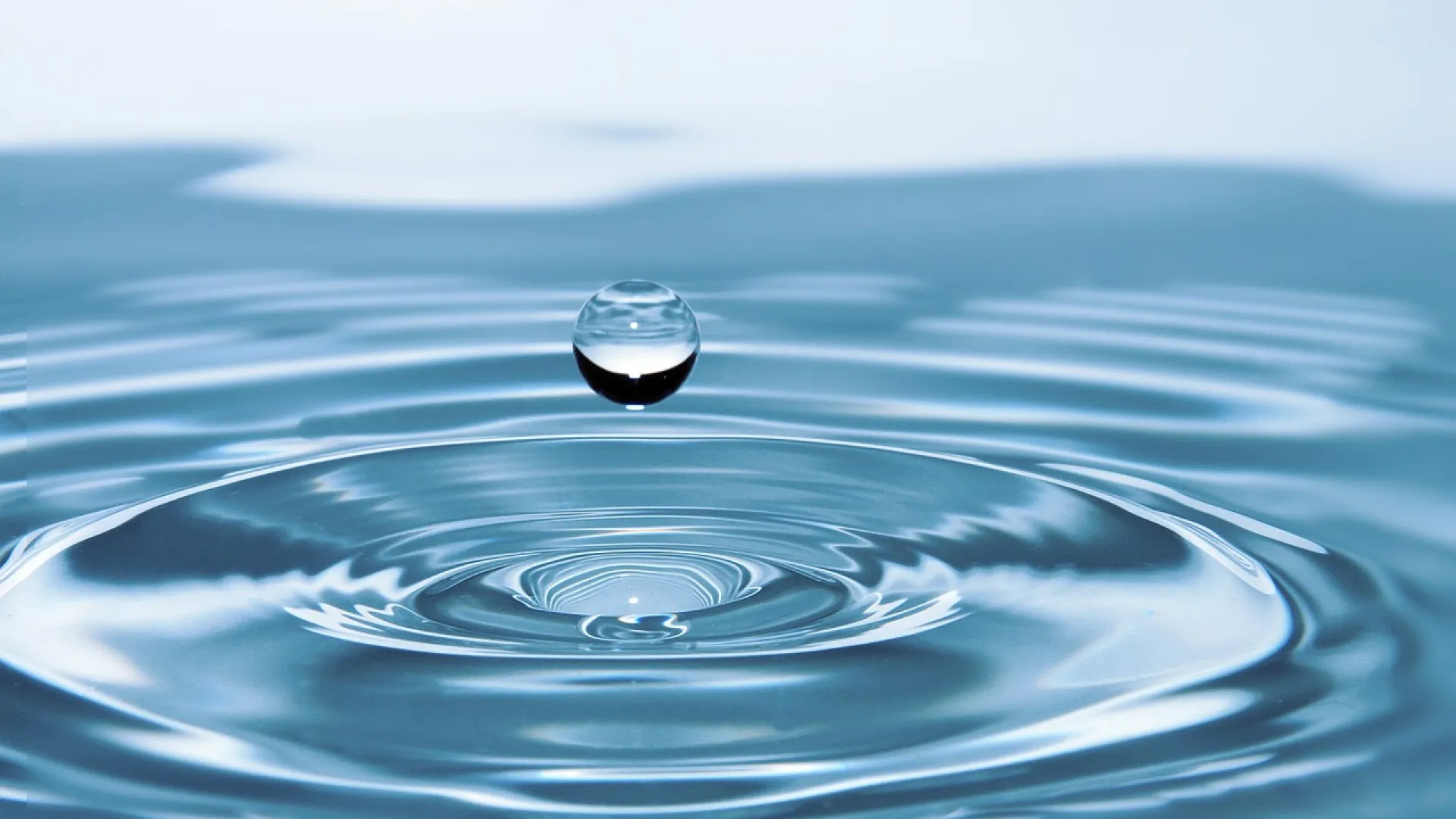 Récupérateur d’eau de pluie : l’astuce écologique et économique !