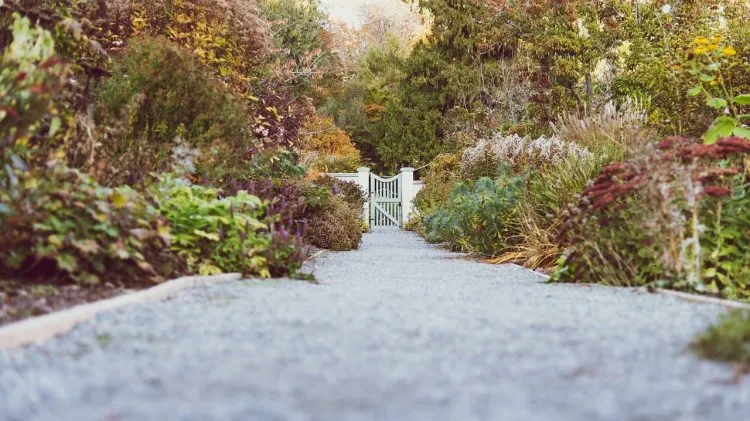 Comment créer une allée en pierre et en paillis à petit prix ?