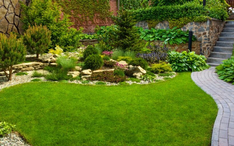 jardin