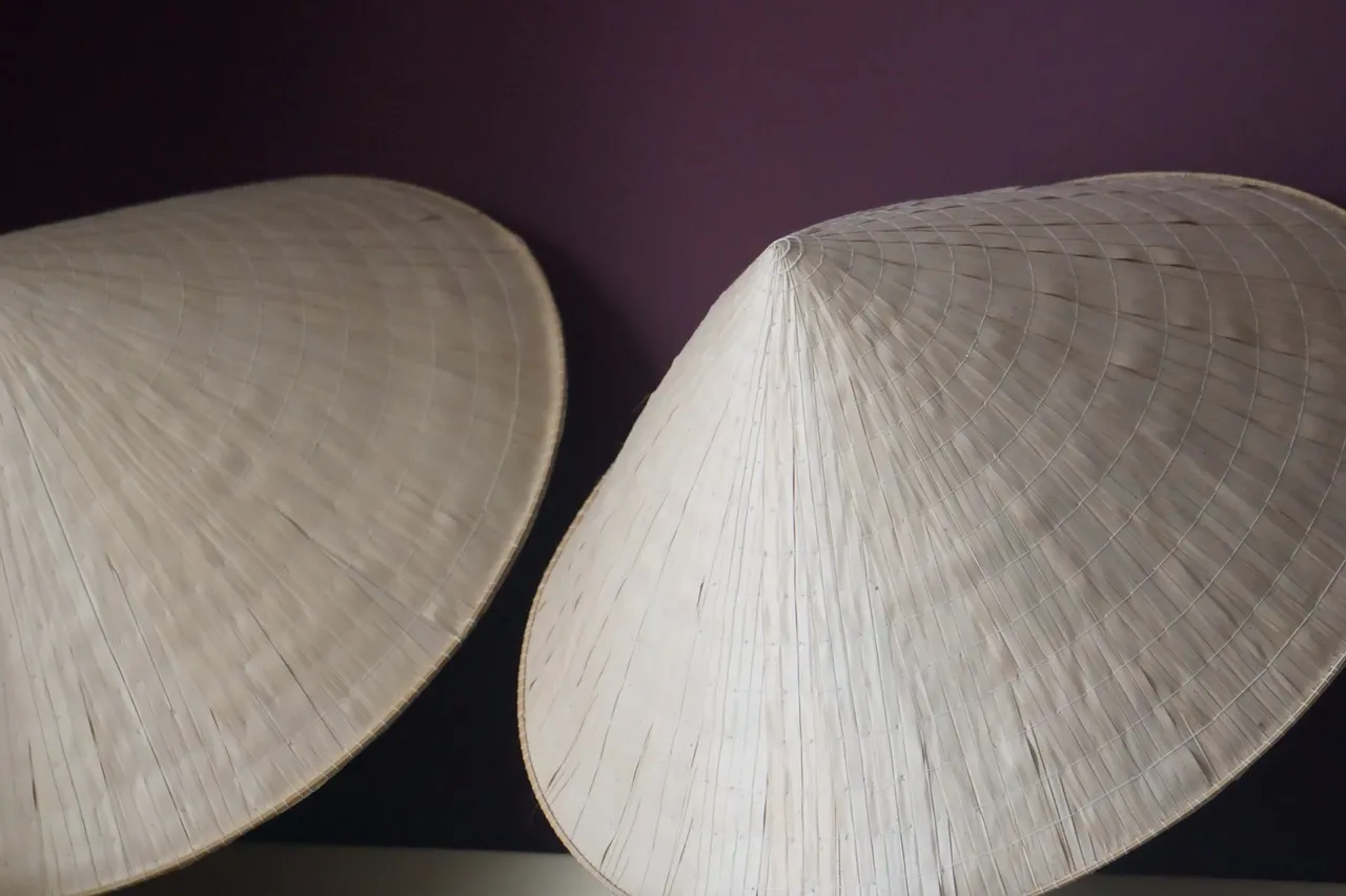 Rendre vos murs attractifs avec des chapeaux : le guide ultime