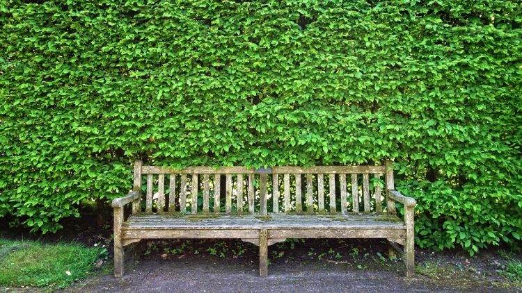 Mobilier urbain pour collectivités : que privilégier en priorité ?