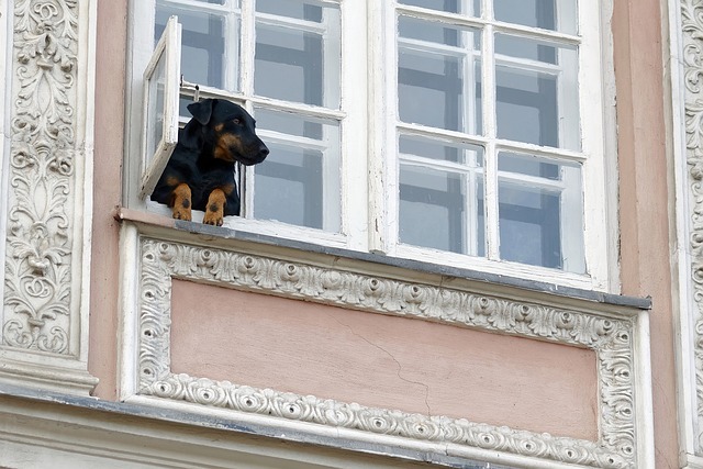 Fenêtres Modernes : améliorez votre Maison avec Style et Énergie