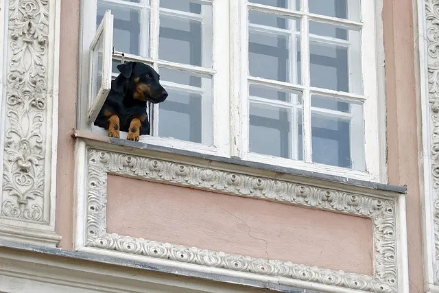 Fenêtres Modernes : améliorez votre Maison avec Style et Énergie