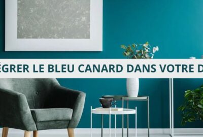 BLEU CANARD
