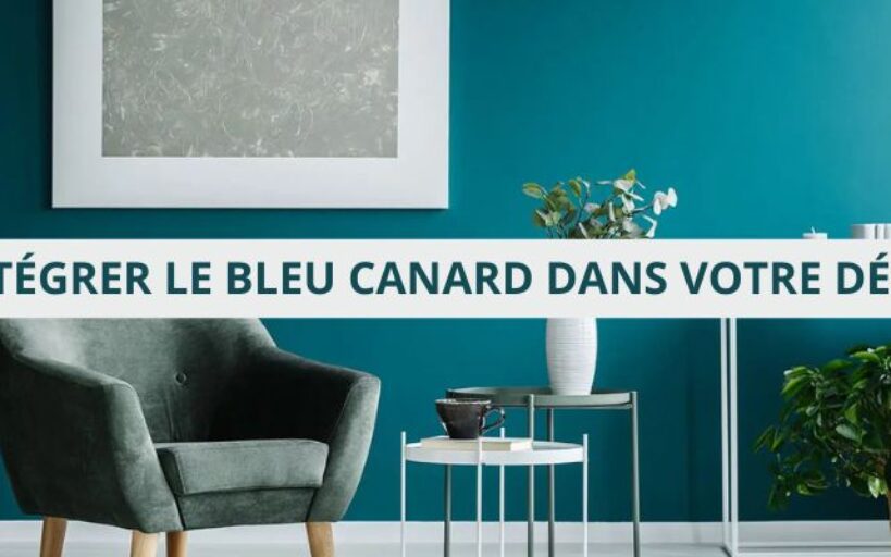 BLEU CANARD