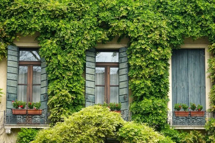 Comment bien choisir ses fenêtres? Quel style de fenêtre choisir?