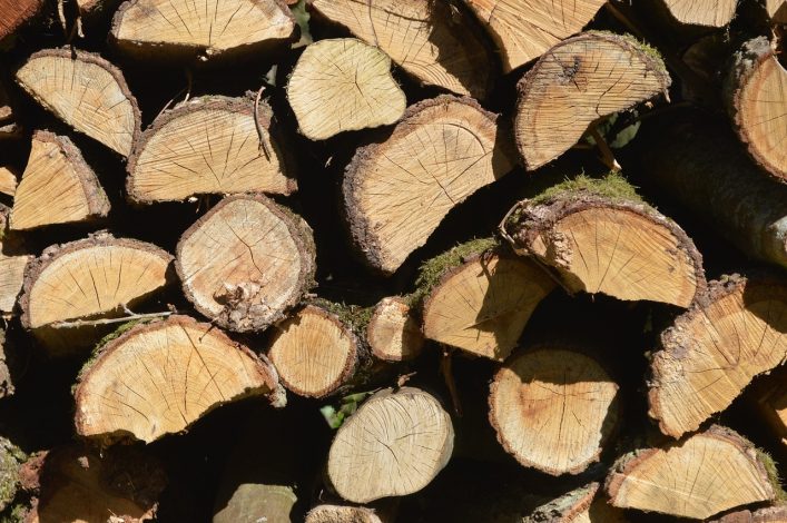 Pourquoi faut-il toujours penser à traiter son bois en extérieur ?