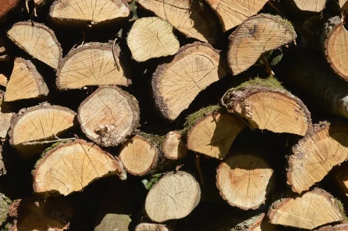 Pourquoi faut-il toujours penser à traiter son bois en extérieur ?