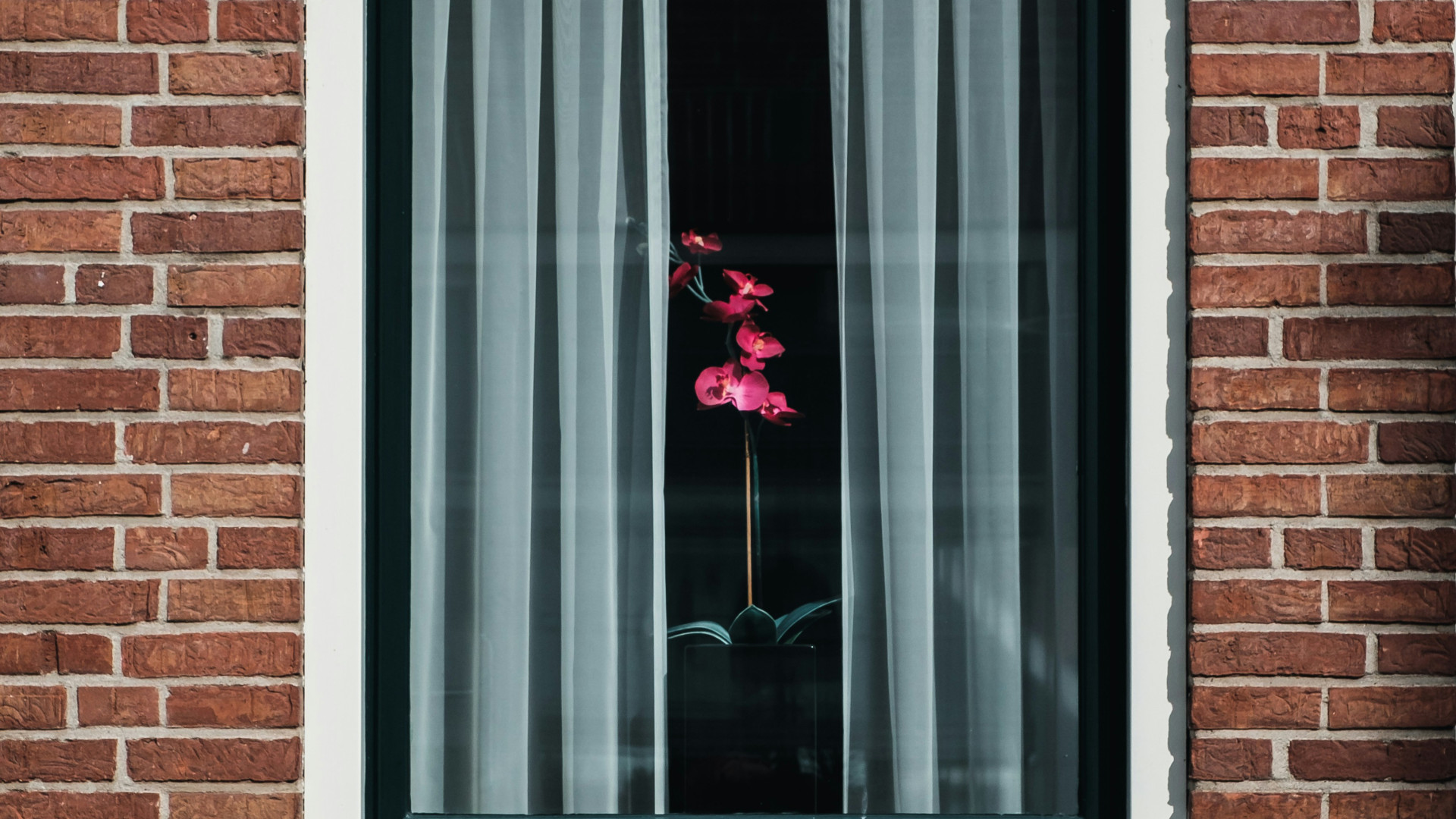 Zoom sur la menuiserie à Belfort : à quelles prestations s'attendre ?