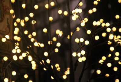 lumière jardin