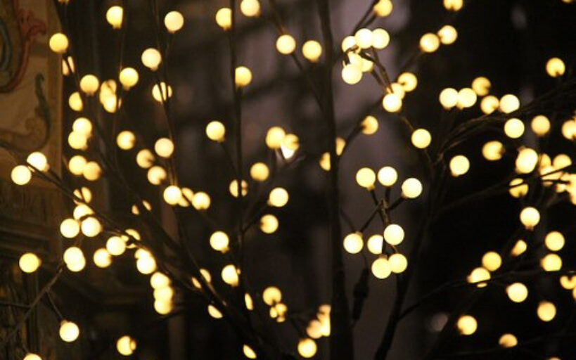 lumière jardin