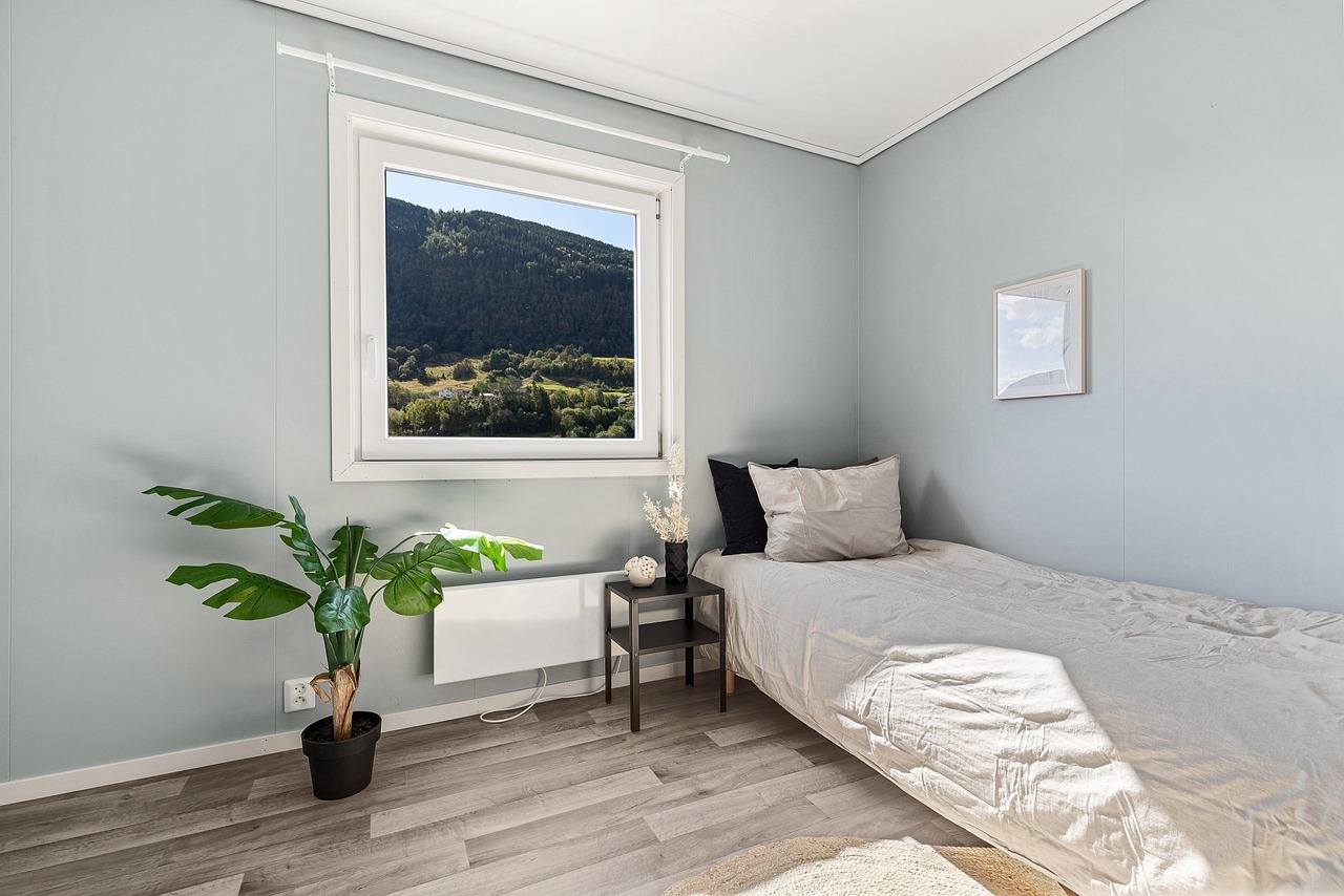 Une plante chambre : quelles sont les meilleures plantes à choisir ?