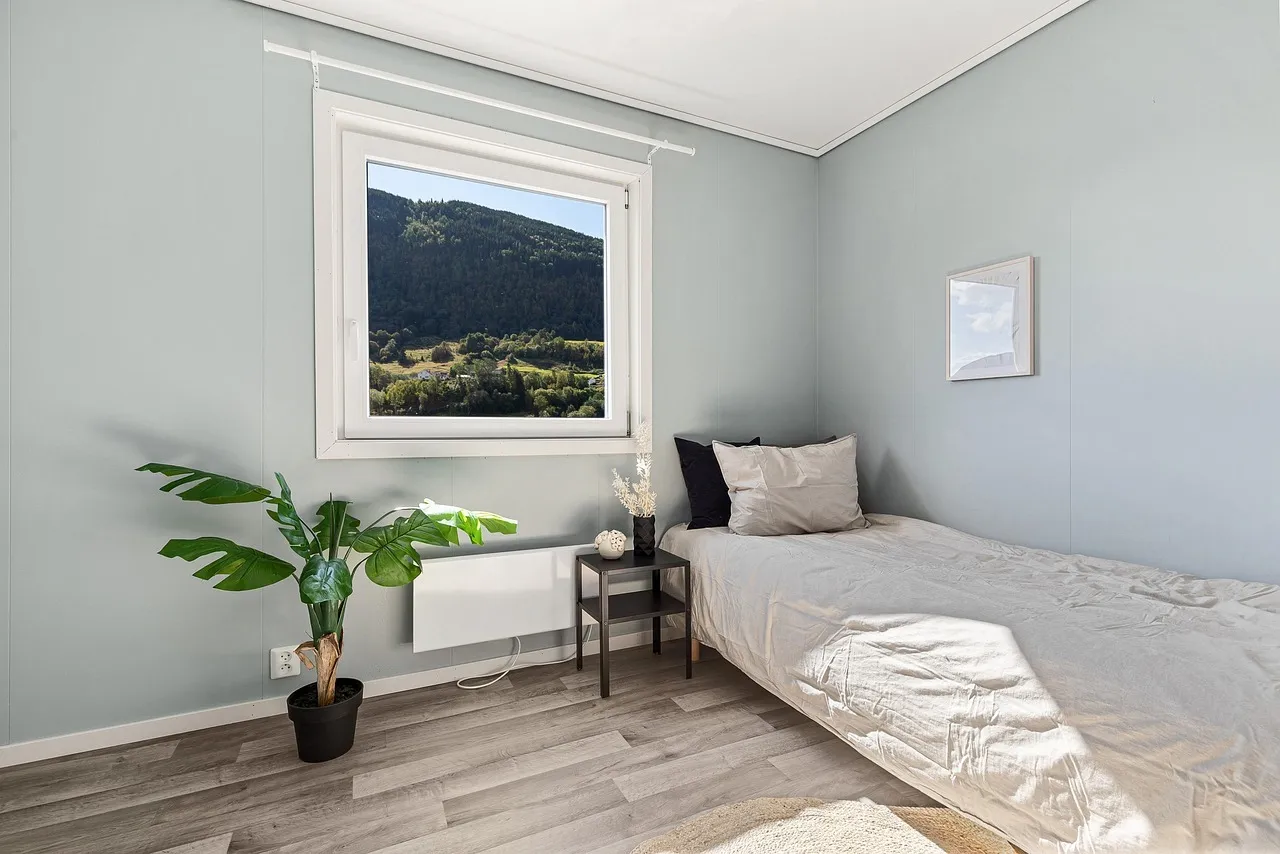 Une plante chambre : quelles sont les meilleures plantes à choisir ?