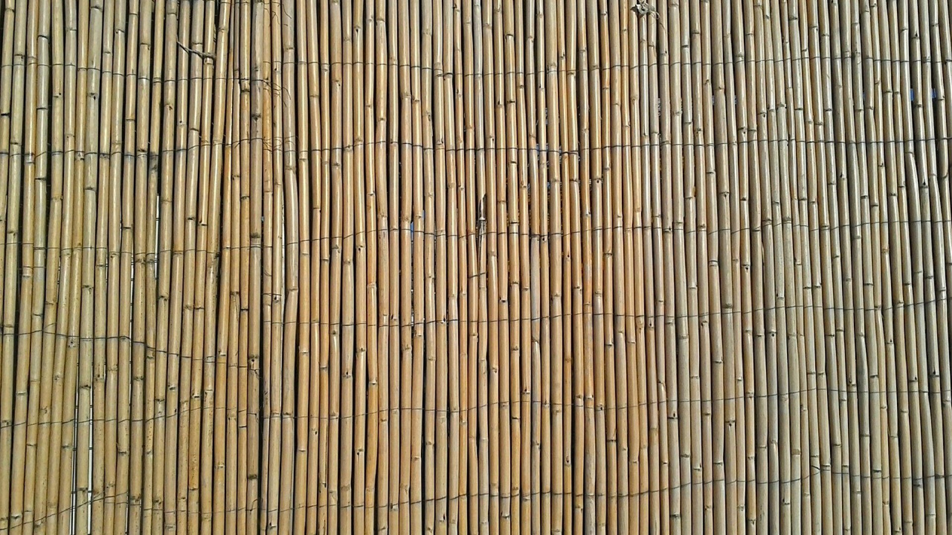 Que choisir pour habiller votre clôture et protéger votre intimité ?