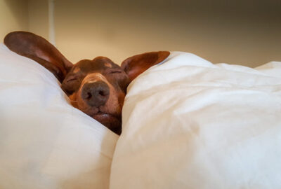 couette-en-soie.