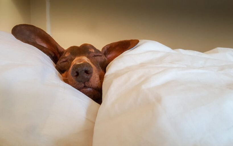 couette-en-soie.
