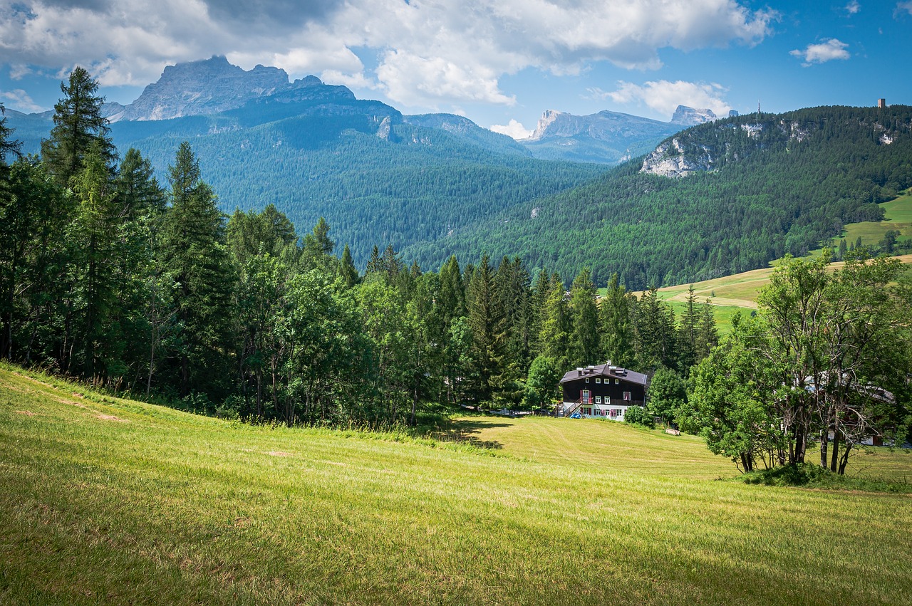 Investir dans une forêt pour y faire sa demeure : par où commencer ?