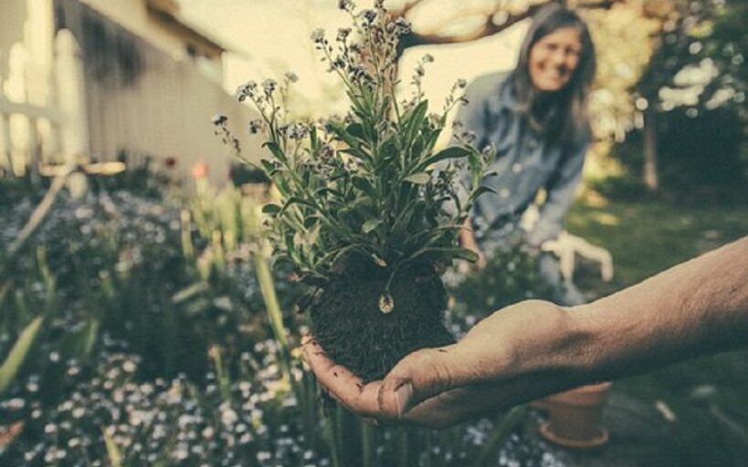 entretien jardin